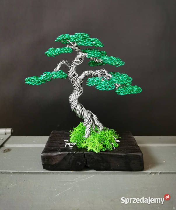 Zielone drzewko z chrobotkiem 13 Bolesławiec sprzedam
