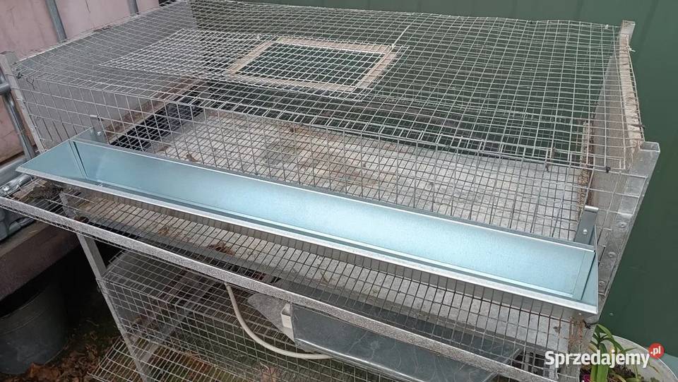 Karmidła przepiórek Hodowla drobiu Dzięcielin