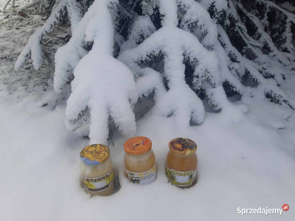 Miód rzepakowy akacjowy wielokwiatowy lipowy