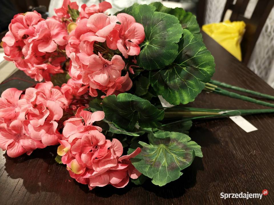 Pelargonie sztuczne bukiety żywe podkarpackie Dębica sprzedam