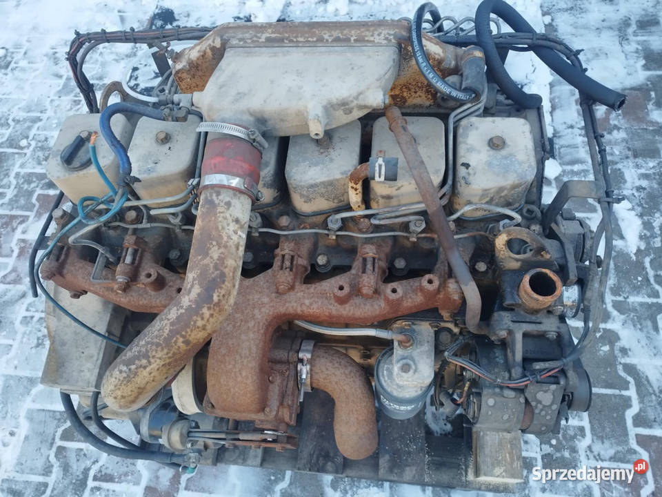 Silnik Cummins 59 L Cummins B59C Strzyżew