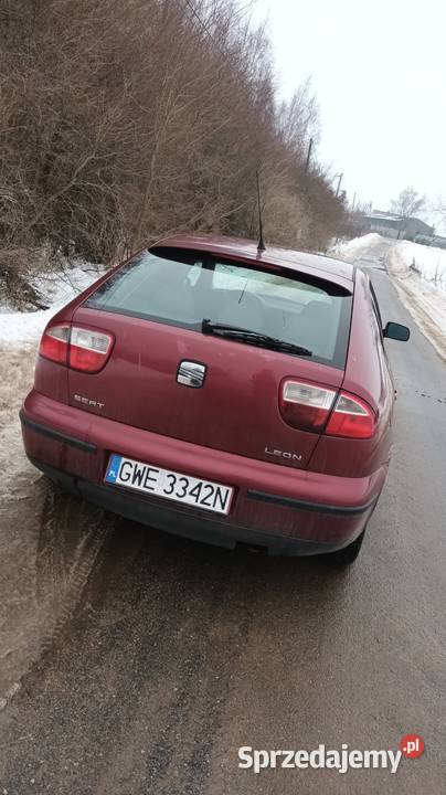Seat leon Iława