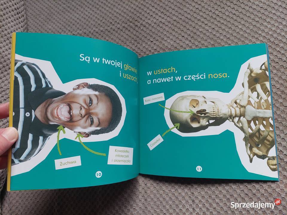 Twoje kości Becky Baines ISBN 9788375961034 Kraków