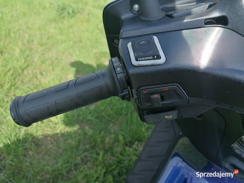 Honda Pantheon 125 WTRYSK GRZANE MANETKI Rok produkcji 2005 lubelskie Chotyłów