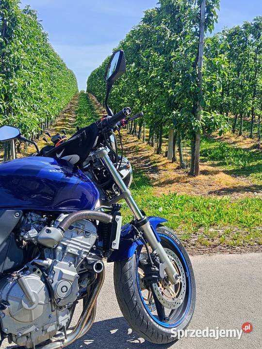Honda CB600F Hornet A2 świętokrzyskie Sternalice