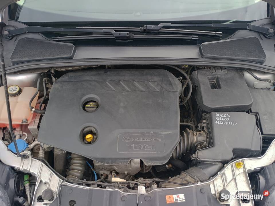 Ford Focus 16 sedan 116 Strzegowo