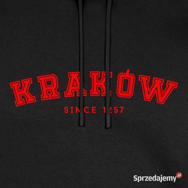 Ekologiczna męska bluza z kapturem Premium małopolskie Kraków sprzedam