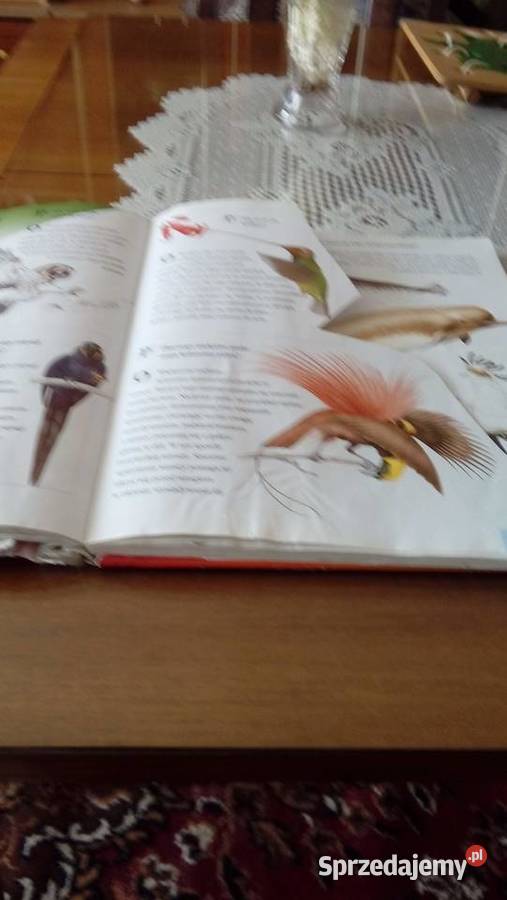 Wielka księga pytań i odpowiedzi Popularnonaukowe Warszawa