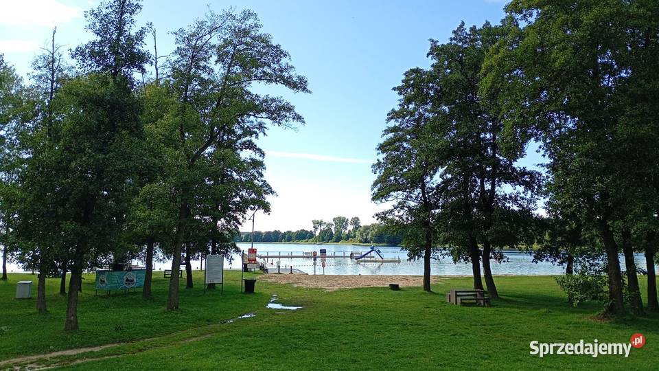 Działka na sprzedaż Wąsosz siatka