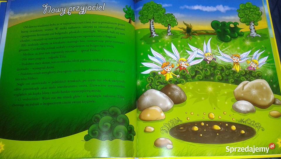 Elfy Magiczny świat Elżbieta Safarzyńska Chełm