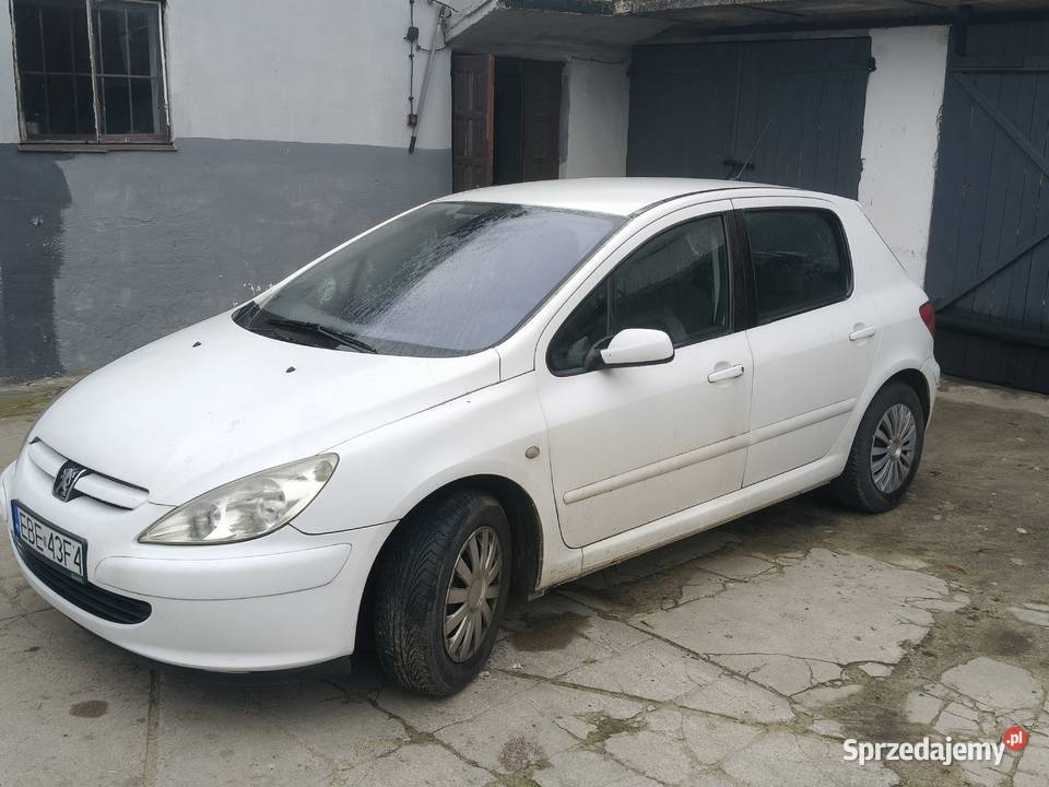 peugeot 307 benzyna+LPG Piotrków Trybunalski