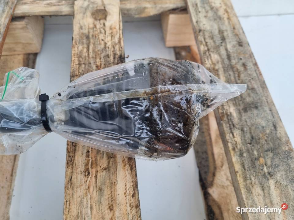 PÓŁOŚ Skoda Octavia II 20 TSI 4x4 PRAWA TYLNA Półosie