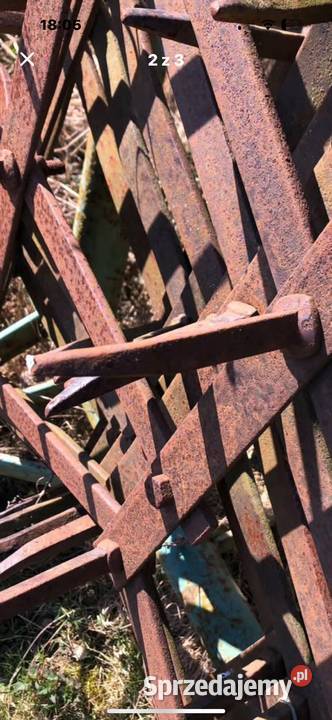 Brony 5 polowe Grudziądz