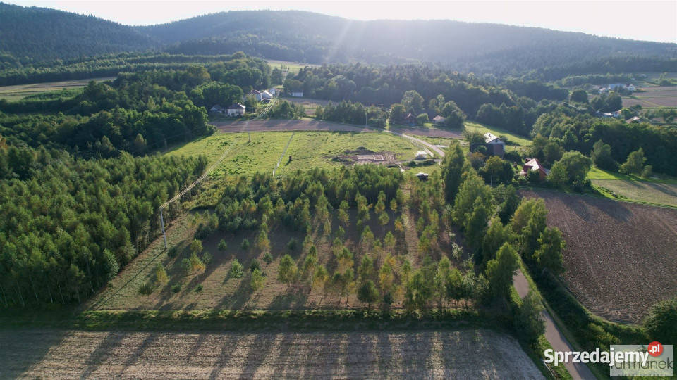Działka 4775m2 Błażkowa podkarpackie