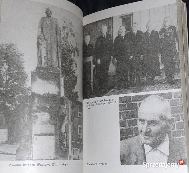 Wsie chłopskiej chwały Jolanta Antecka Jerzy