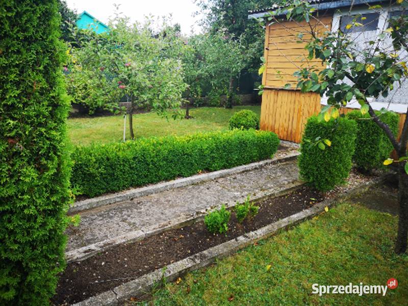 Działka rekreacyjna ROD Jaroszówka Białystok