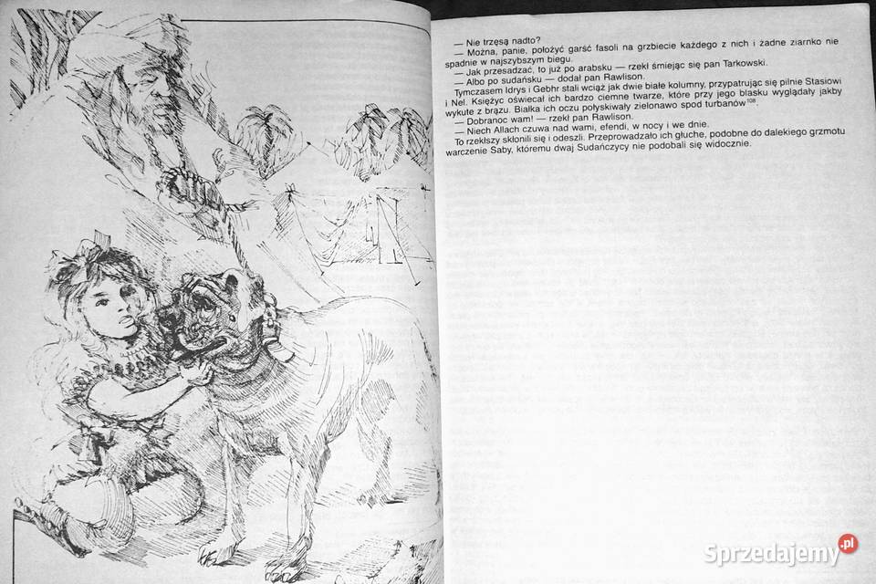 W pustyni i w puszczy Henryk Sienkiewicz Pozostałe Chełm