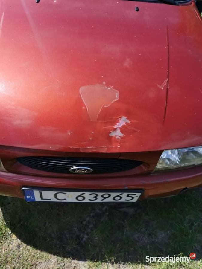 Zgrabny Fordzik kobiety lubelskie Rejowiec sprzedam