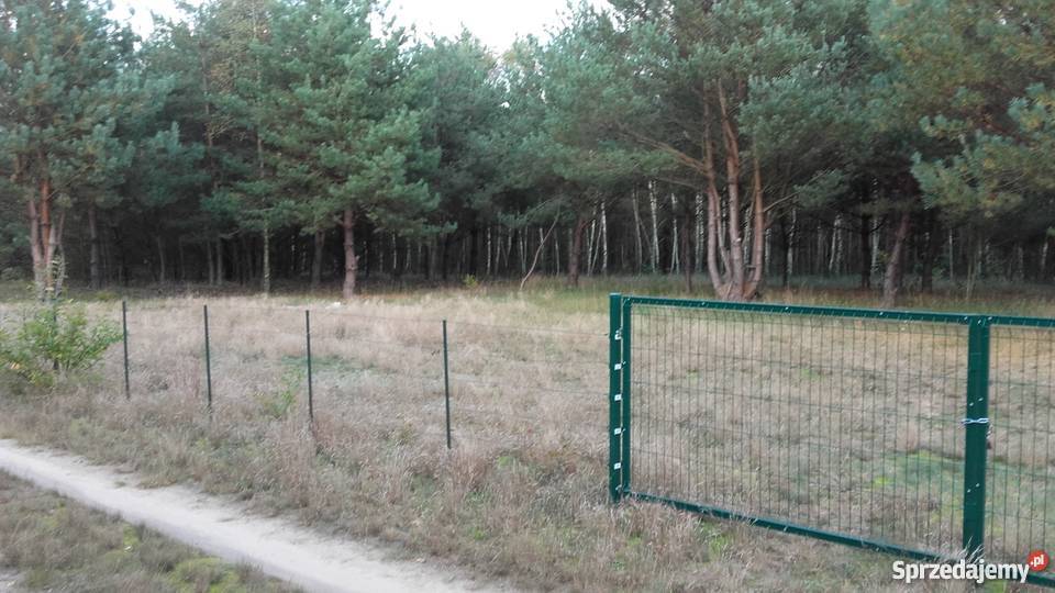 45 WARSZAWY BEZPOŚREDNIO mazowieckie Andzin