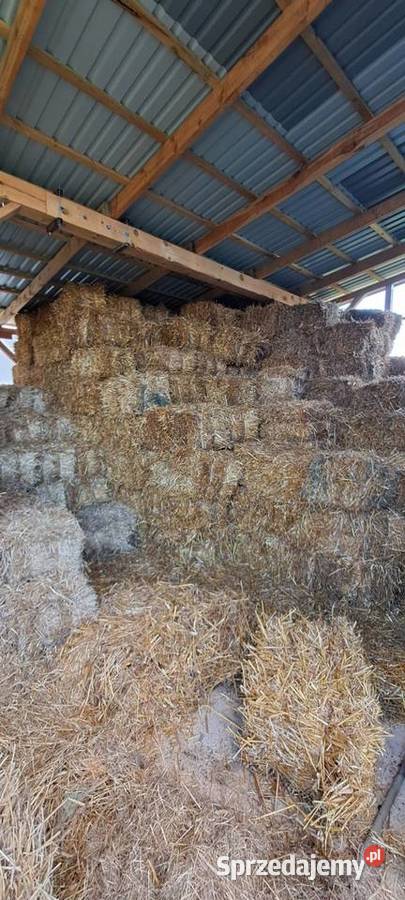 Sloma owsiana i zytnia Trawy, słoma Łapino Kartuskie