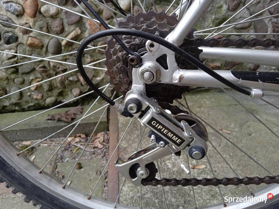 Góral PLANET TITANIA koła 26 Wrocław sprzedam