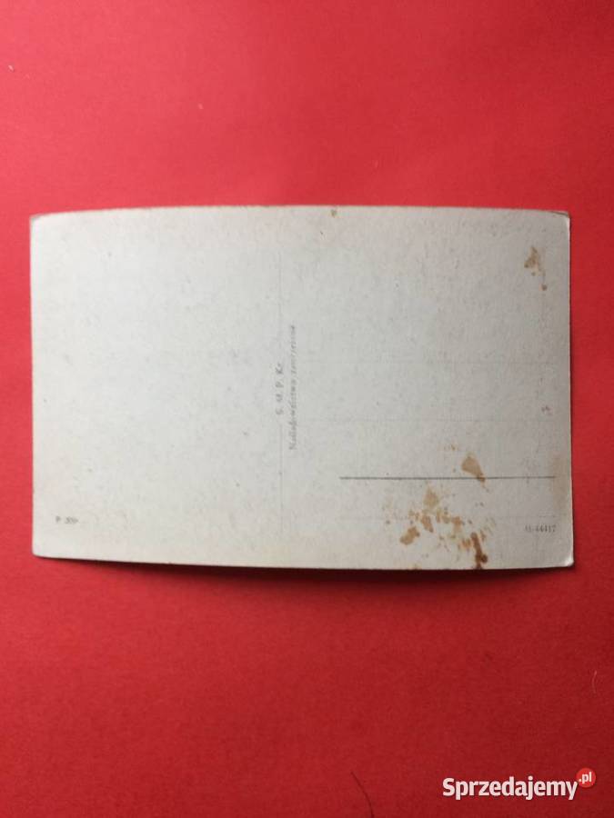 2645 Widokówka Krościenki nD Szczecin