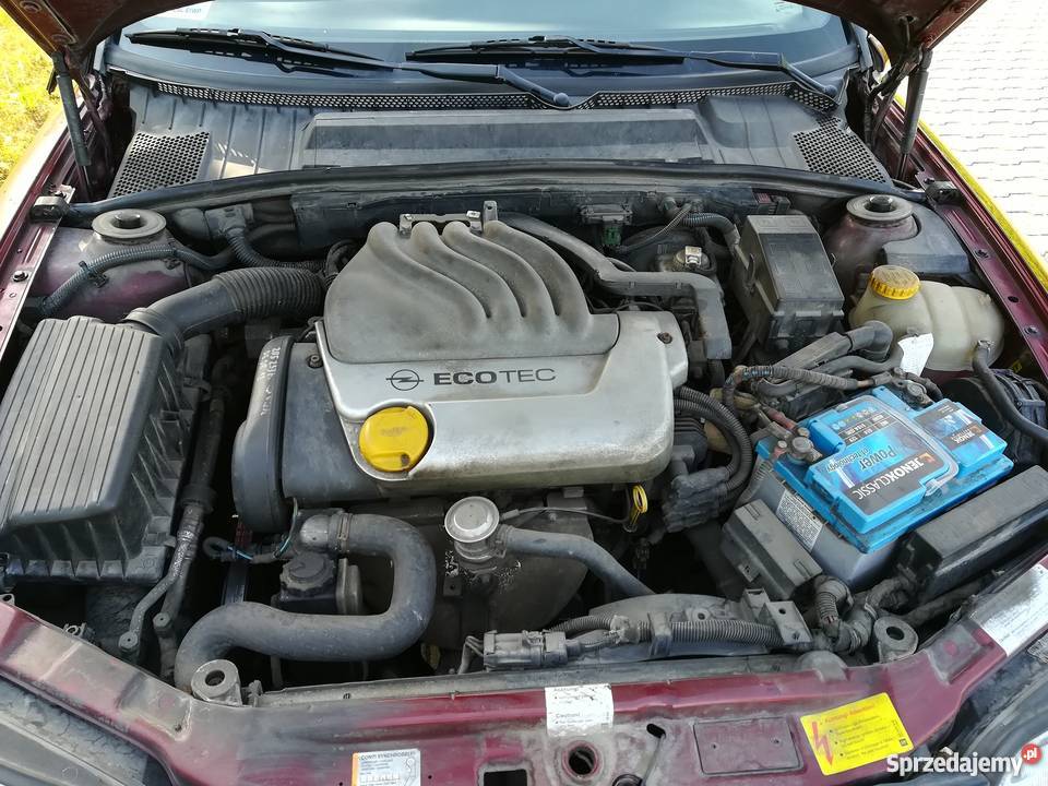 Opel Vectra B 16 16V Rok produkcji 1998 Biłgoraj