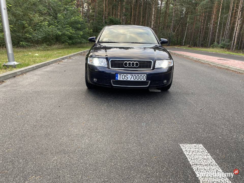 Audi a4 b6 20 alt Ostrowiec Świętokrzyski
