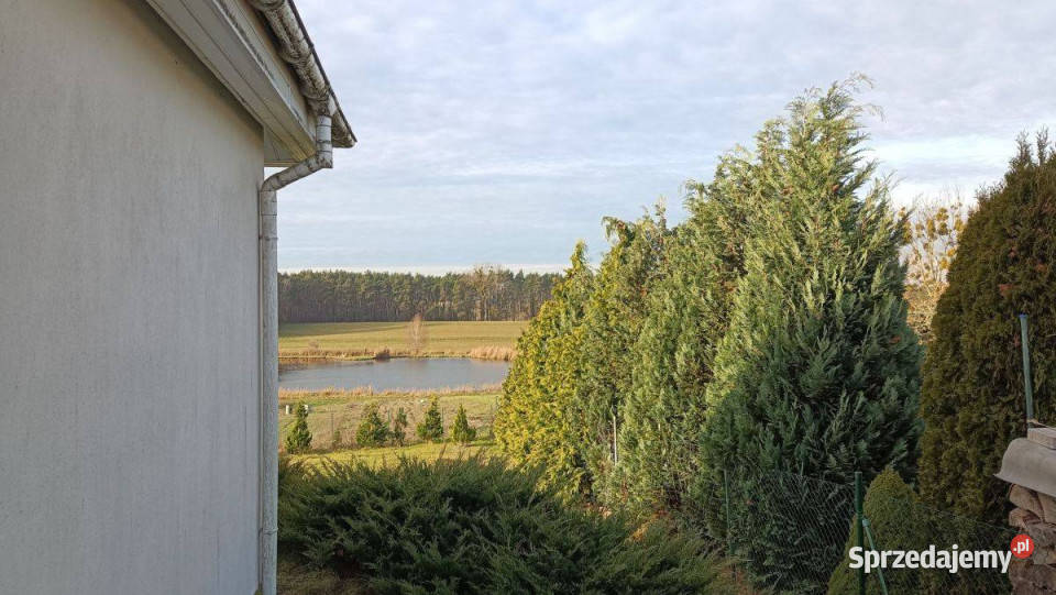 Dom z widokiem na stawy i las