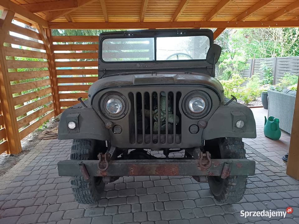 Jeep Willys M38A1 Nekaf Kołątajew