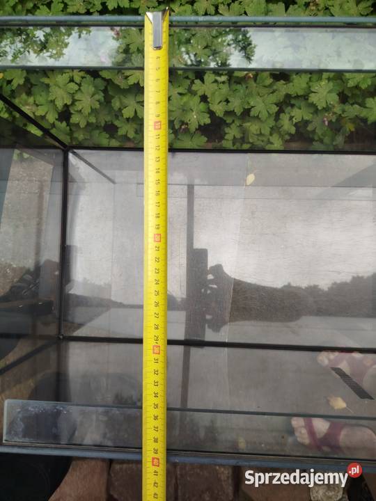 terrarium akwarium 1004040 Pozostałe Zwierzęta pomorskie Sopot