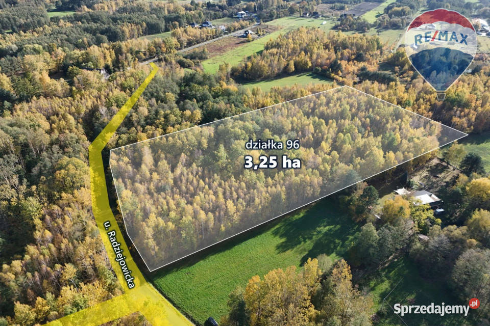 325ha wśród lasów Budy Michałowskie 32500m2