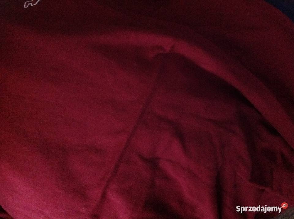 T shirt Koszulka Męska HOLLISTER r S Nowa Hollister Nowa Sól