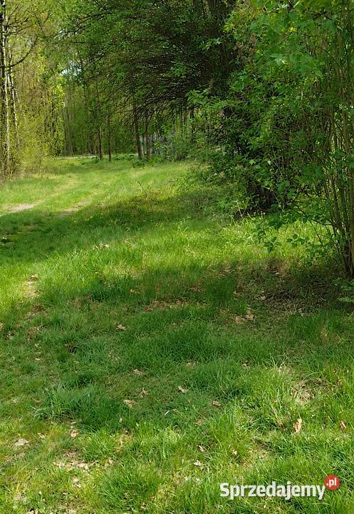 Działka rolno budowlana Zakrzew las mazowieckie