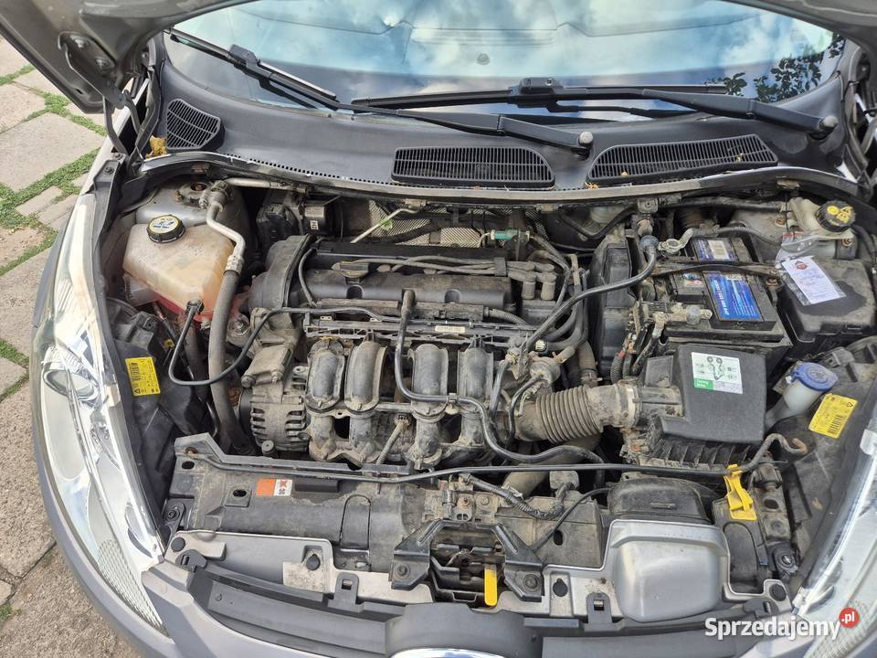 Ford Fiesta Titanium 125 benzyna Nowy rozrząd