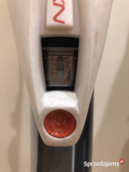 Narty Dynastar Cruise X Szczecin