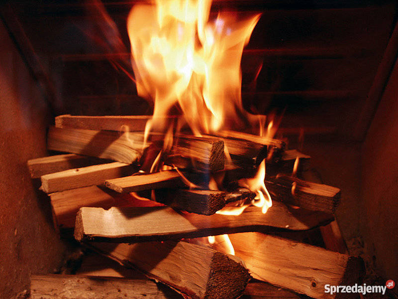 Liściaste gatunki drewno kominkowe własny wymiar Opał Gryfice