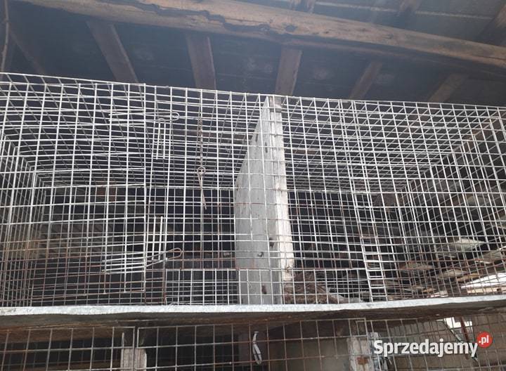 Klatka na króliki gryzonie kury inne masywna Pozostałe podlaskie Sejny