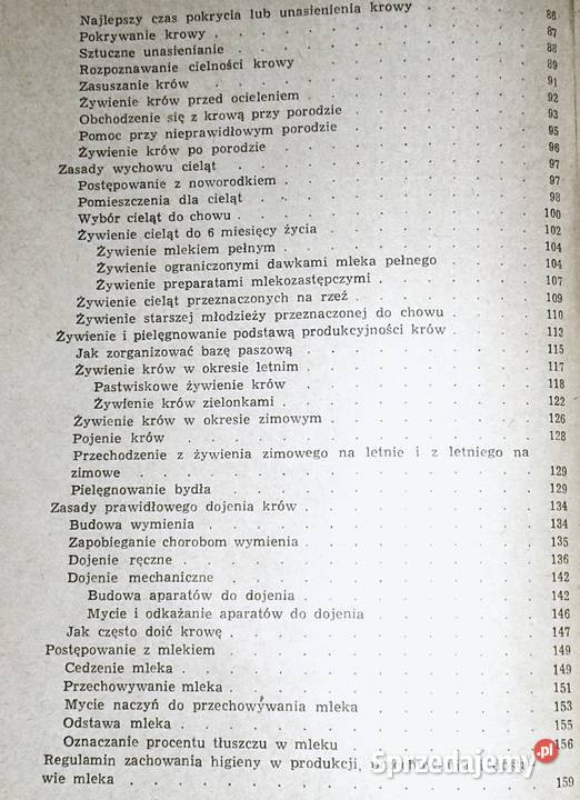 Krowa mleczna Henryk Jasiorowski Chełm sprzedam