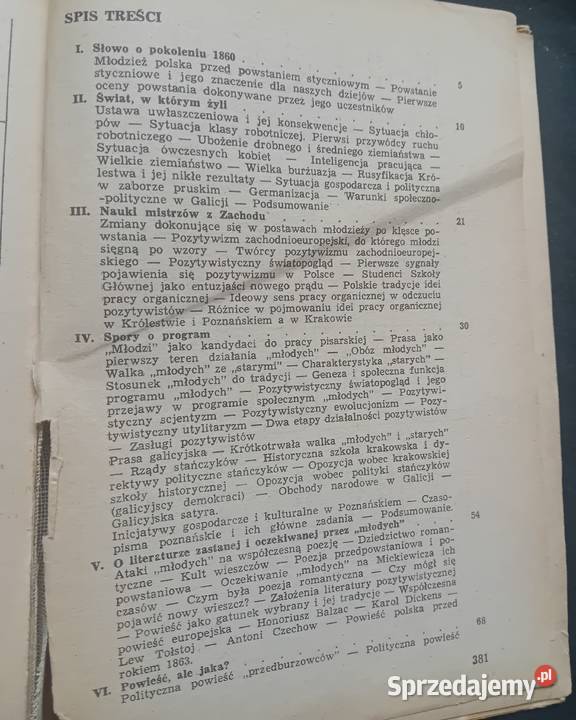 Alina NoferŁadyka Literatura polska okresu Koźminek