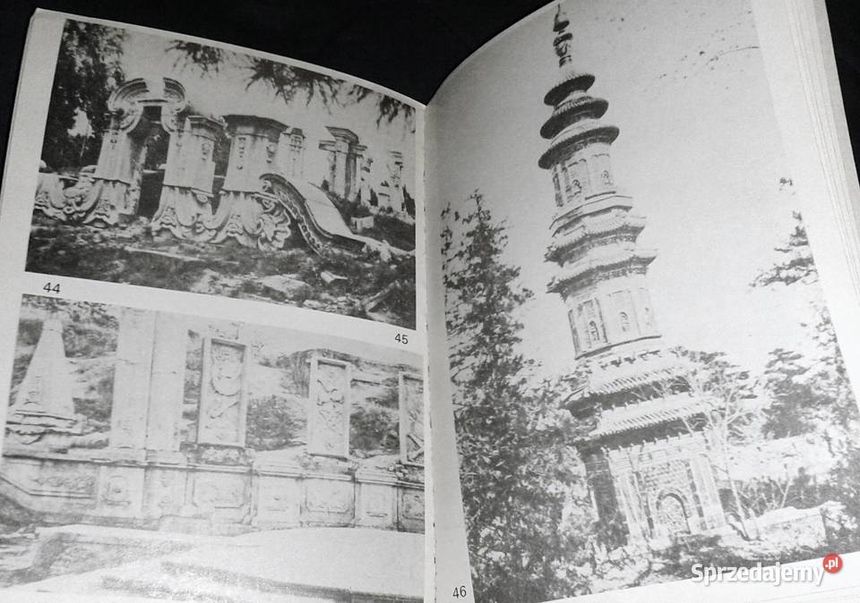 W kręgu złotego smoka Wiesław Olszewski