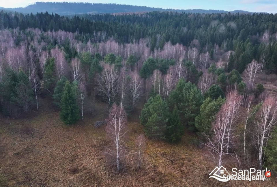 Działka Czarna 11400m2