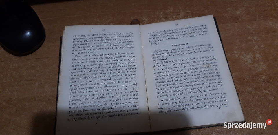 Człowiek Jakim JestI Co Wynajduje BERNSTEIN Iwno sprzedam