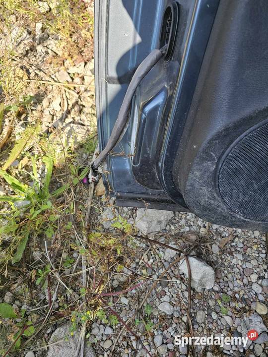 Drzwi Volkswagen Bora Karoseria