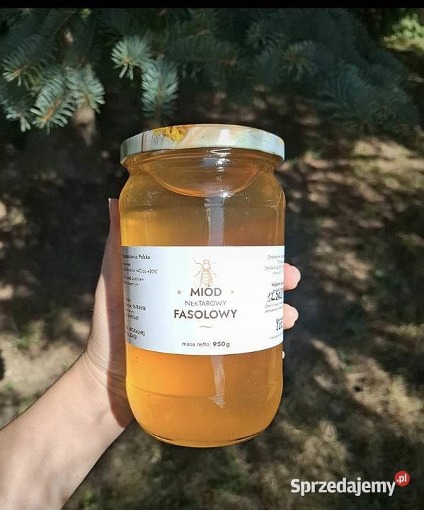 Miód fasolowy z własnej pasieki na Roztoczu Lublin