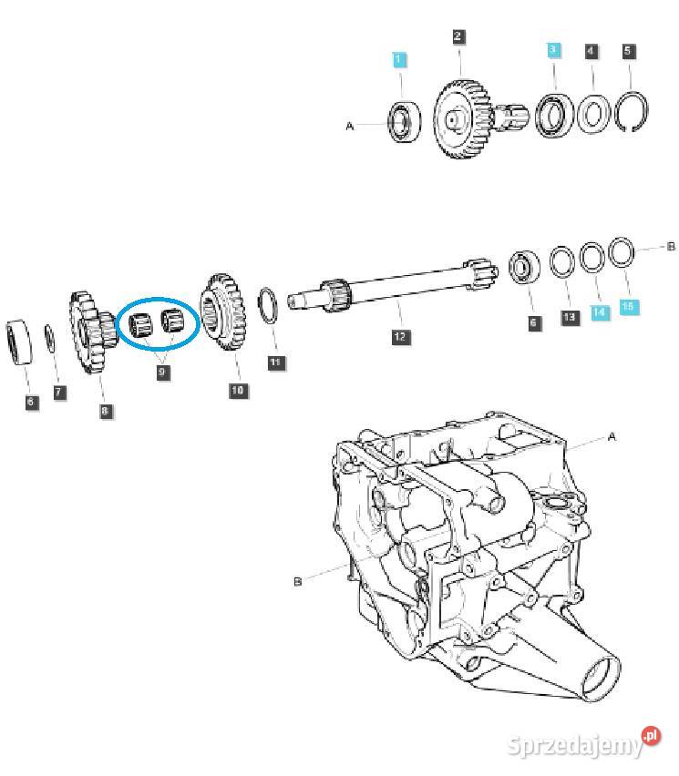 Łożysko igiełkowe K202417 LS MT125 40337028 Tajęcina