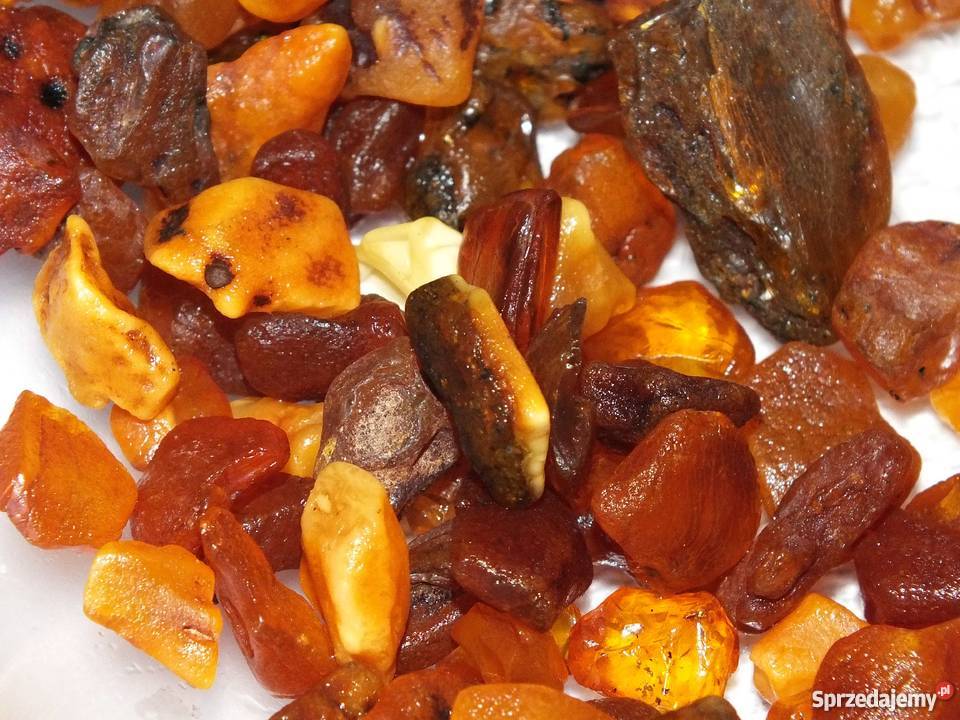 Bursztyn bałtycki Kąty Rybackie sprzedam