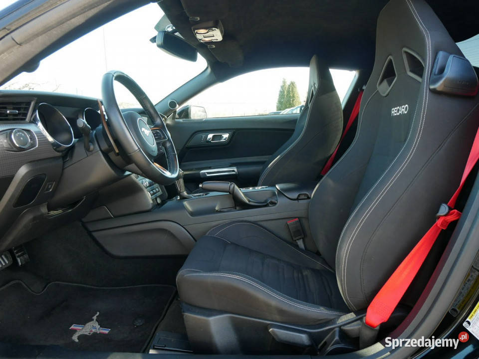 Ford Mustang mk6 23 EBoost 317 Eu6 Performance śląskie