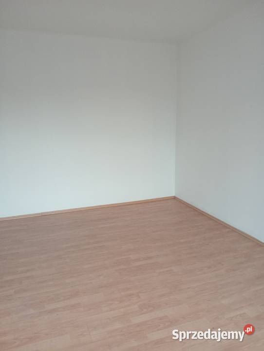 kawalerka w Chorzowie do wynajęcia oddzielna kuchnia Chorzów