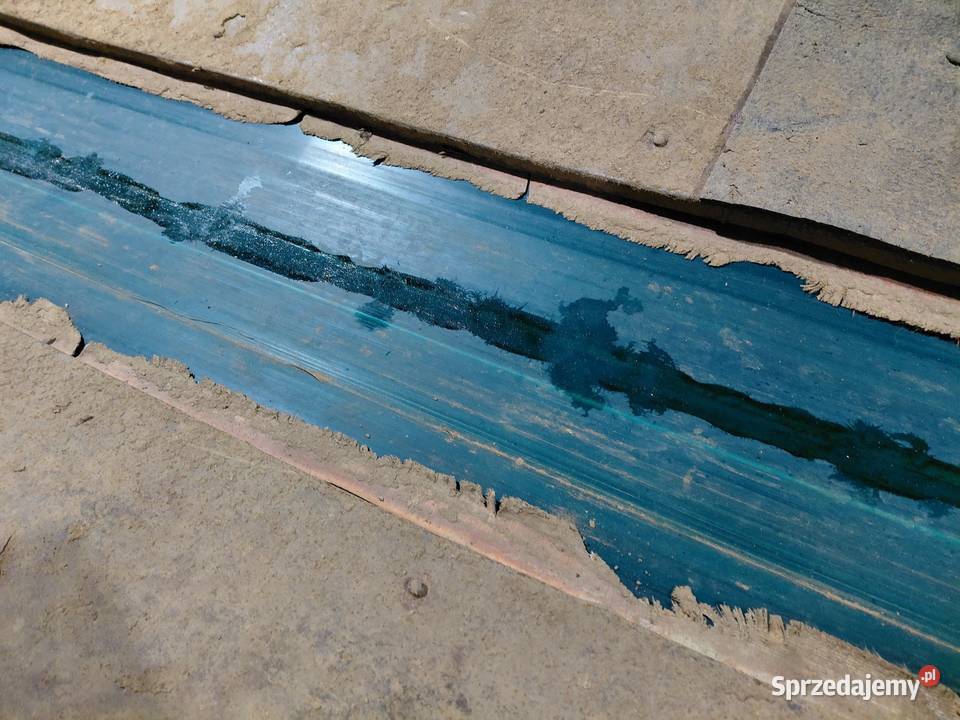 Sprzedam Mobilny Podajnik Pryzmownik Taśmociąg Świecie